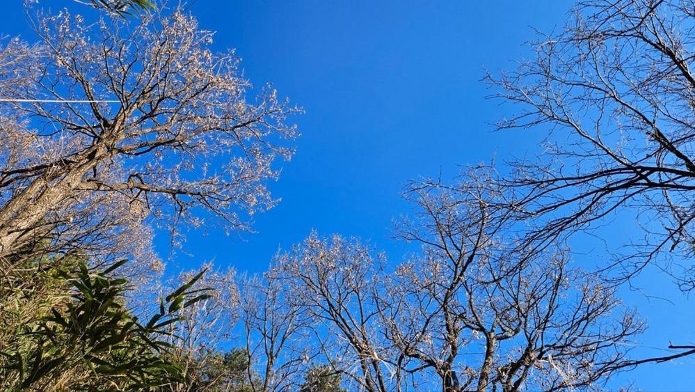 Yangyang Little Forest Pension Zewnętrze zdjęcie